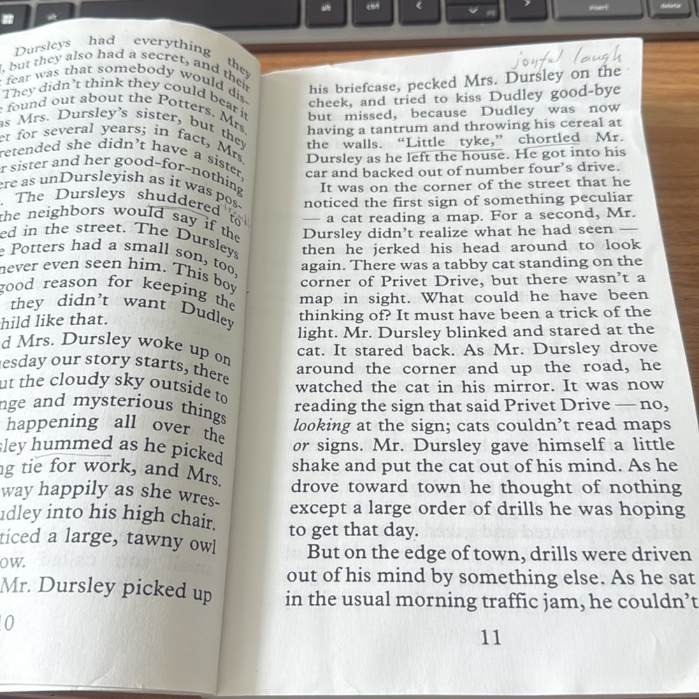 Large Print Harry Potter and the Sorcerer's Stone Book - Picture 3 of 5